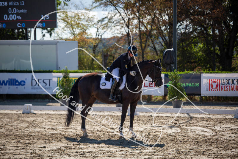 bouferterhaff-jumping-7-standard-z4qj5f.jpg