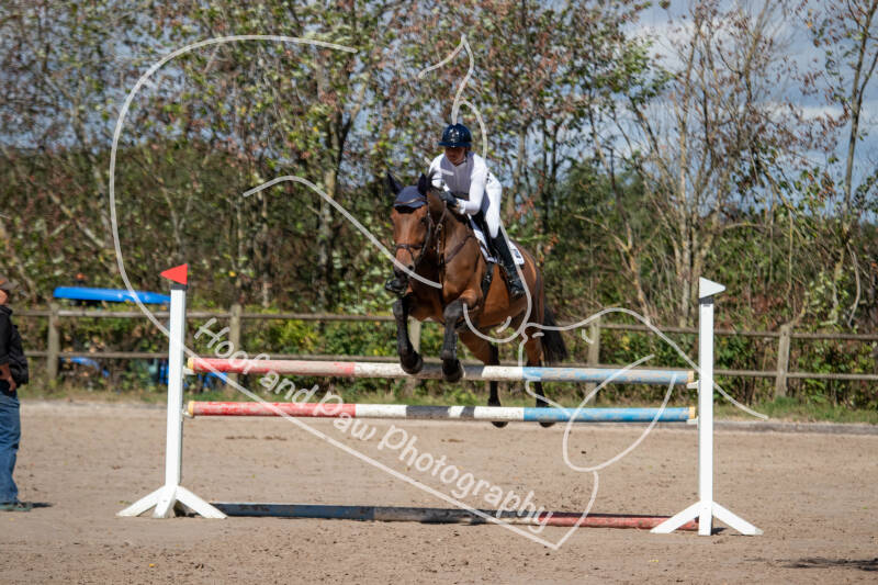 bouferterhaff-jumping-7-standard.jpg