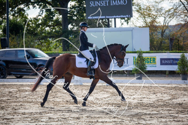 bouferterhaff-jumping-70-standard-1rhvc1.jpg