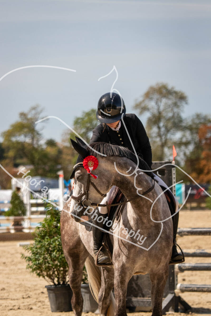 bouferterhaff-jumping-70-standard-k9aqdz.jpg
