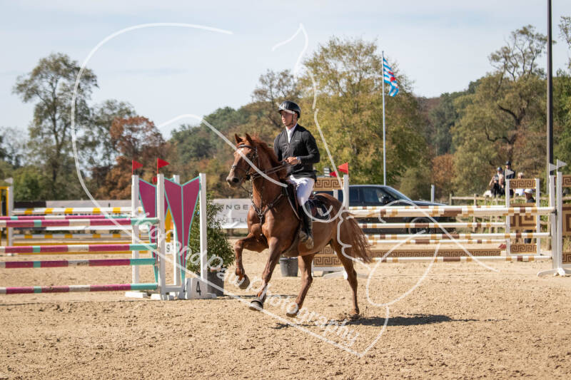 bouferterhaff-jumping-70-standard-u7jllq.jpg