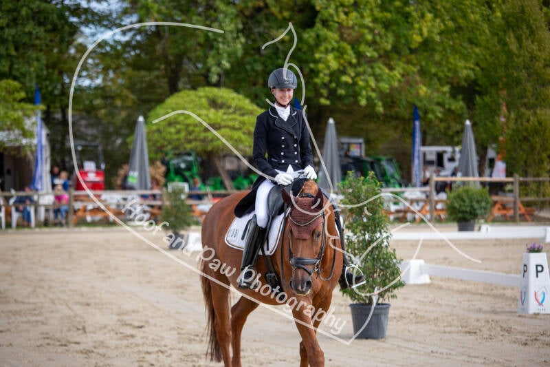 bouferterhaff-jumping-70-standard-xkpzyy.jpg