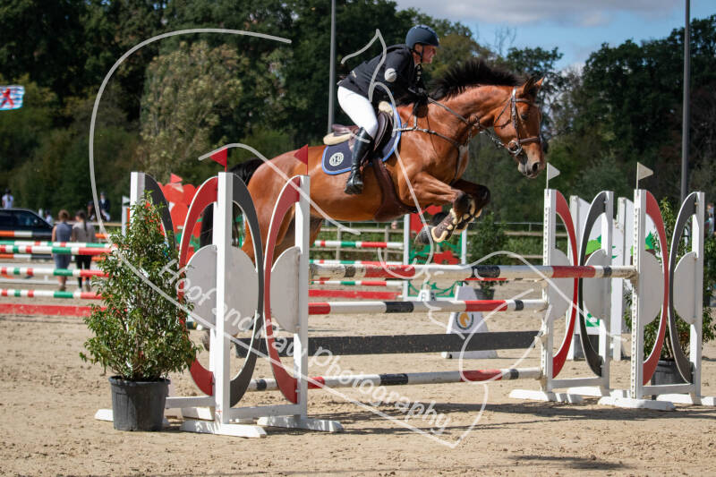 bouferterhaff-jumping-70-standard.jpg