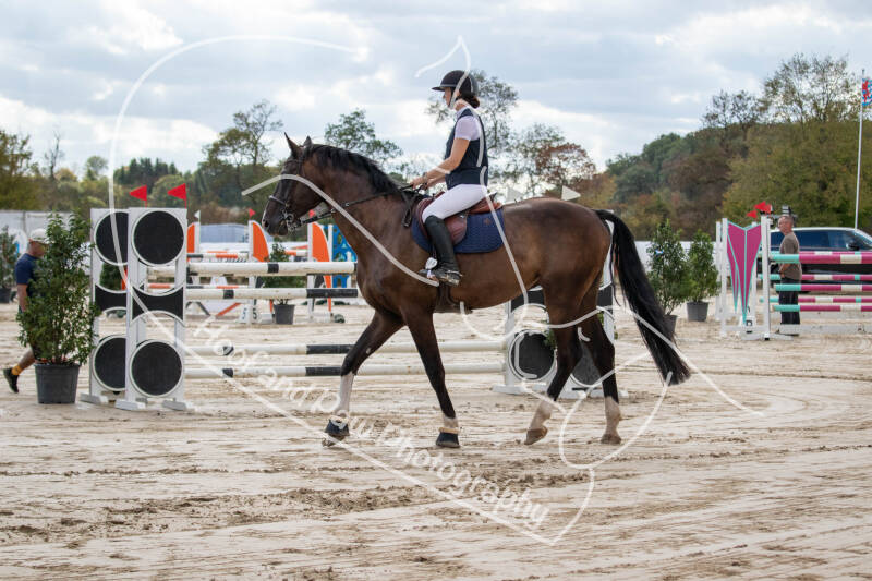 bouferterhaff-jumping-71-standard-2izfwu.jpg