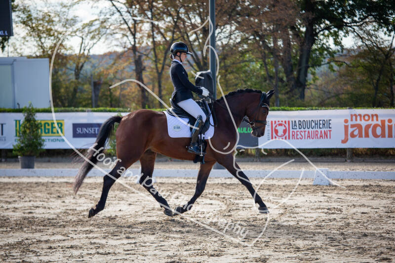 bouferterhaff-jumping-71-standard-5cdvyj.jpg
