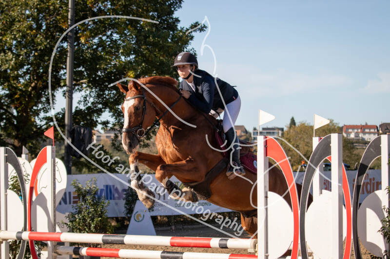 bouferterhaff-jumping-71-standard-613ge5.jpg
