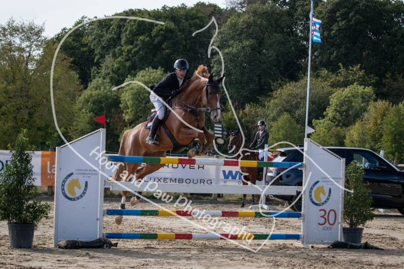 bouferterhaff-jumping-71-standard-edde7k.jpg