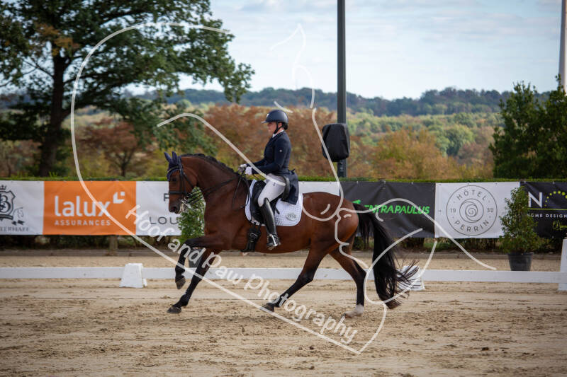 bouferterhaff-jumping-71-standard-phoxwu.jpg