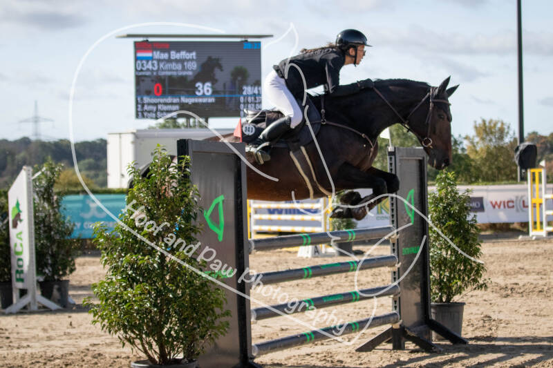bouferterhaff-jumping-71-standard-xvcrsf.jpg