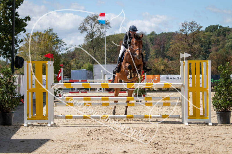 bouferterhaff-jumping-71-standard.jpg