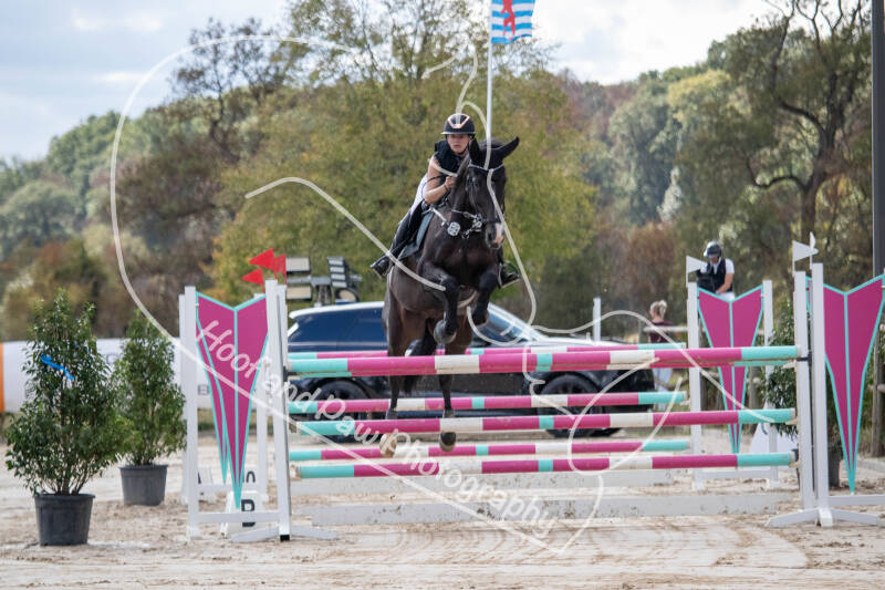 bouferterhaff-jumping-72-standard-53u7ir.jpg