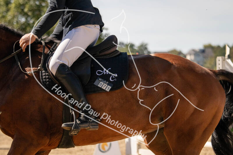 bouferterhaff-jumping-72-standard-6ljxts.jpg