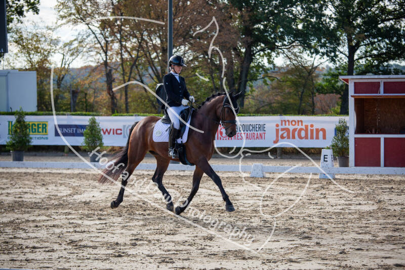 bouferterhaff-jumping-72-standard-ast34q.jpg