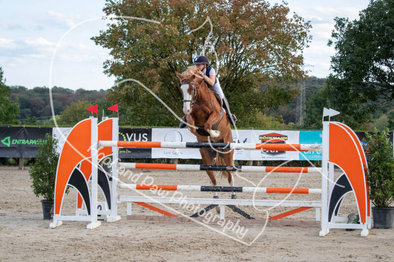 bouferterhaff-jumping-72-standard-dz53le.jpg