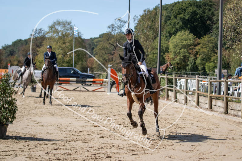 bouferterhaff-jumping-72-standard-jj63i2.jpg