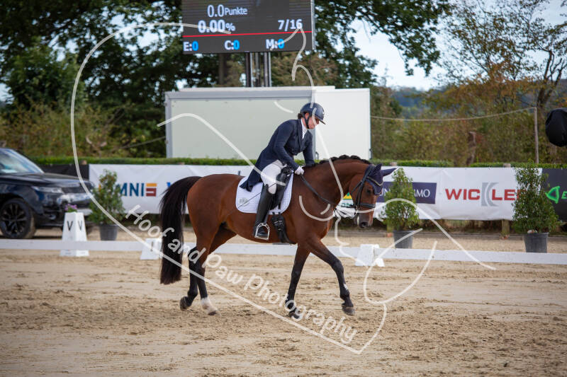 bouferterhaff-jumping-72-standard-pnqgor.jpg