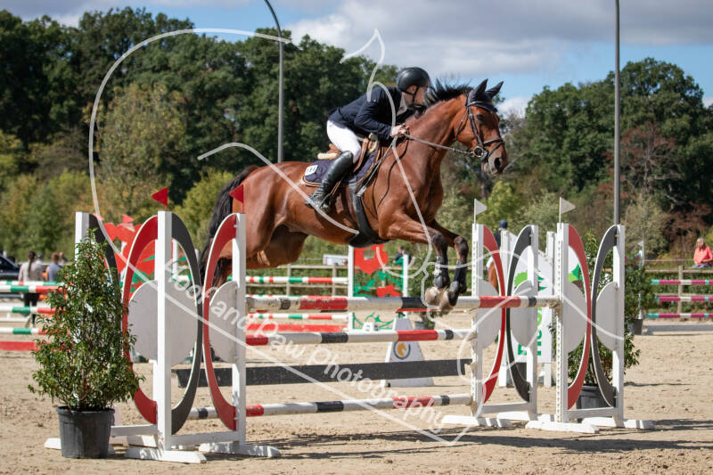 bouferterhaff-jumping-72-standard.jpg