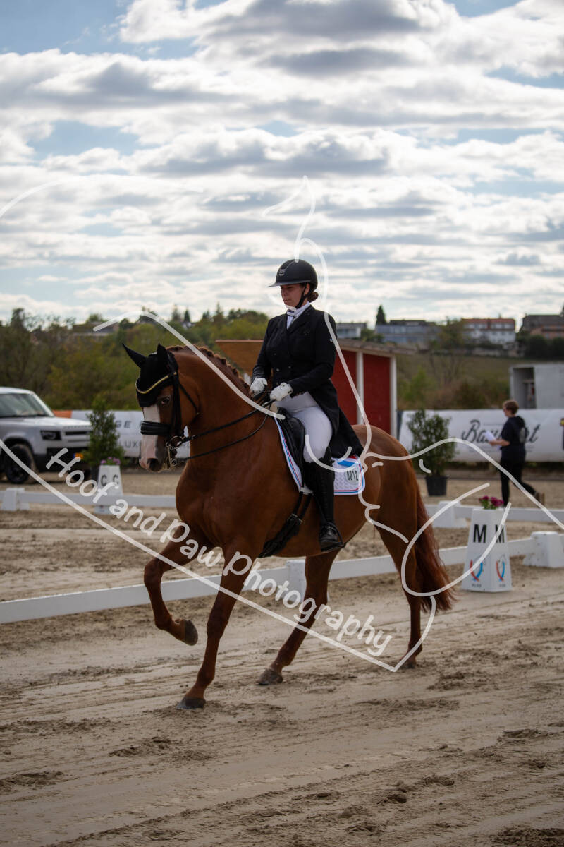 bouferterhaff-jumping-73-standard-2k55m9.jpg