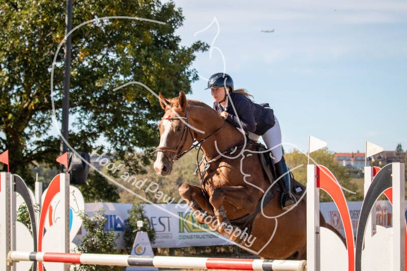 bouferterhaff-jumping-73-standard-8rgnle.jpg