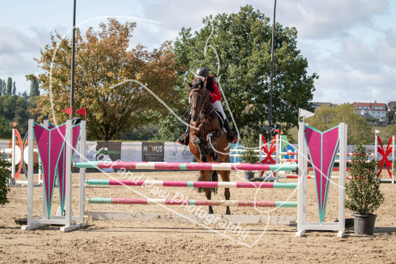 bouferterhaff-jumping-73-standard-9ym1bt.jpg