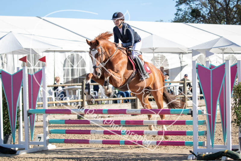 bouferterhaff-jumping-73-standard-crg1hj.jpg