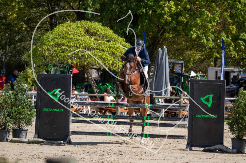 bouferterhaff-jumping-73-standard-gph1x0.jpg