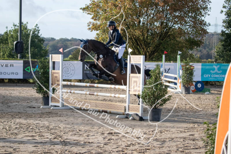 bouferterhaff-jumping-73-standard-hlt8g2.jpg