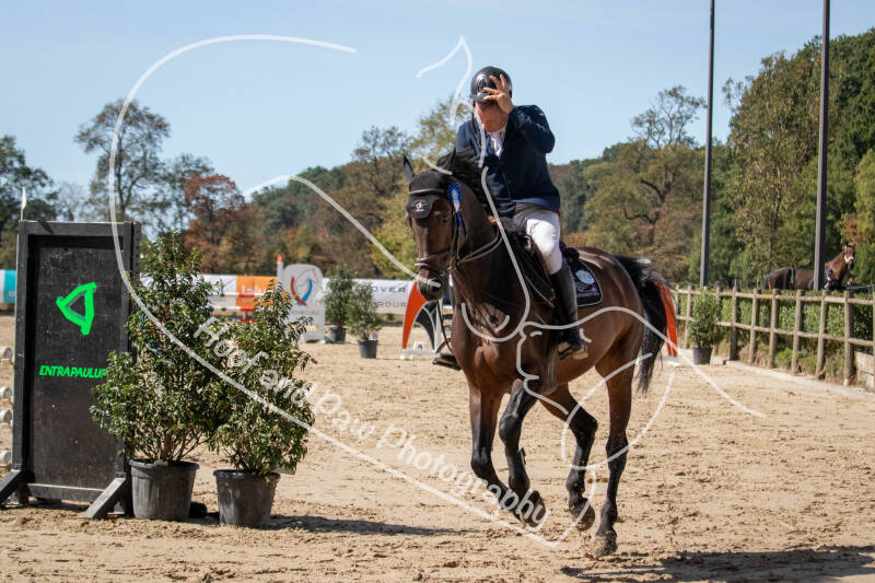 bouferterhaff-jumping-73-standard-nfmb7i.jpg