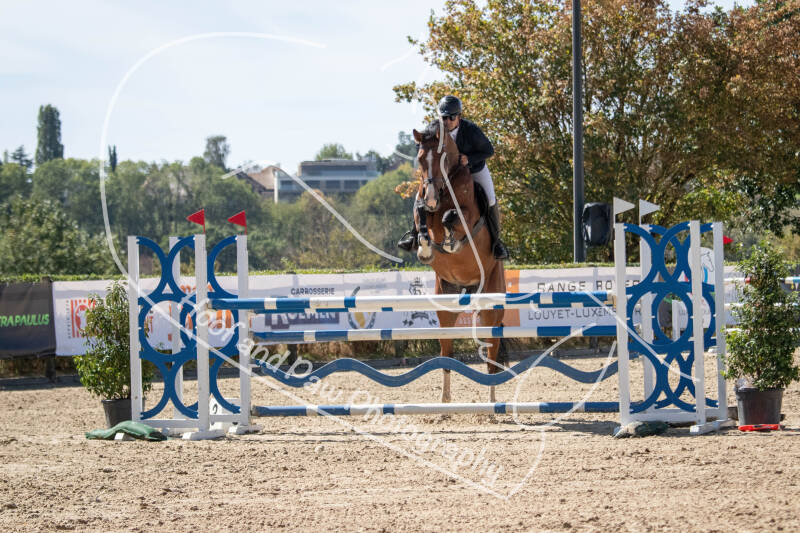 bouferterhaff-jumping-73-standard-pr6af6.jpg