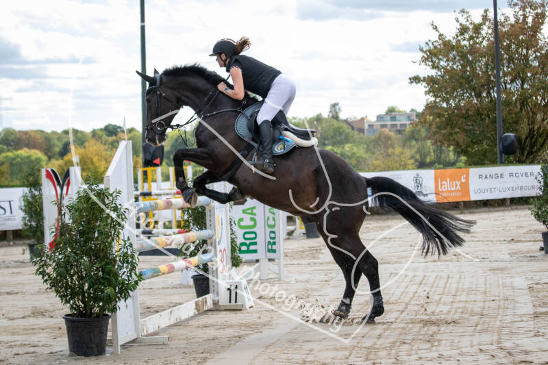 bouferterhaff-jumping-73-standard-psaf4a.jpg