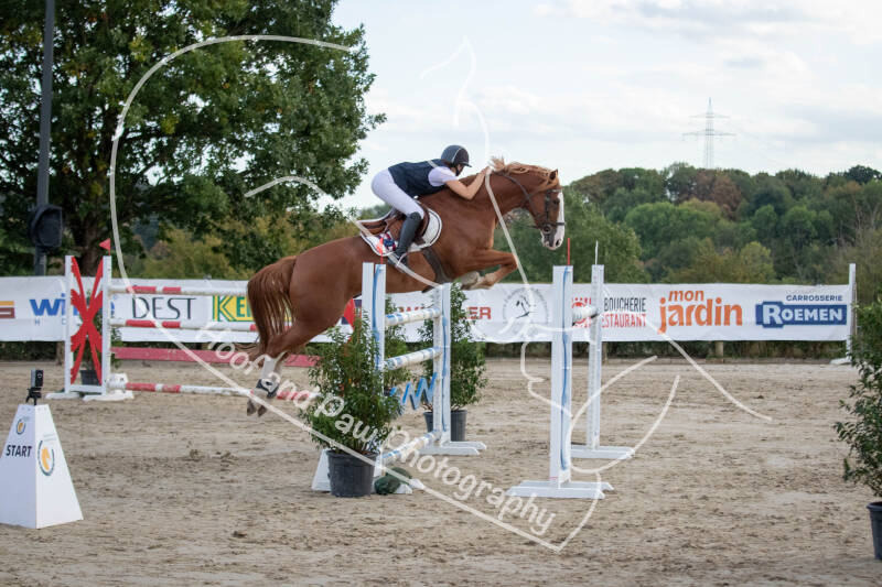 bouferterhaff-jumping-73-standard-qoeeye.jpg