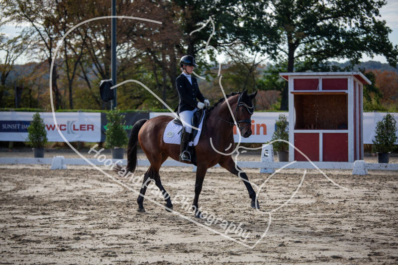 bouferterhaff-jumping-73-standard-uhhn7l.jpg
