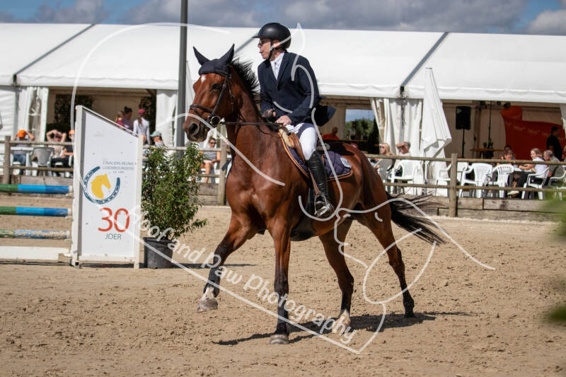bouferterhaff-jumping-73-standard.jpg