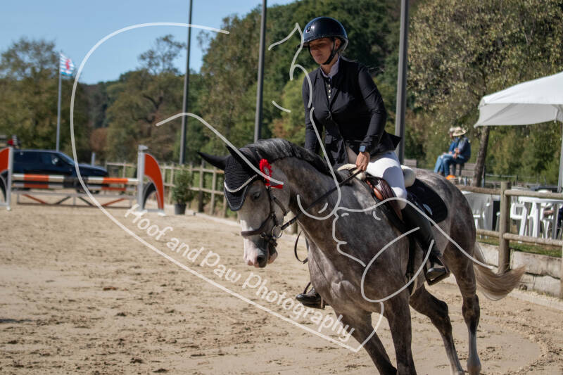 bouferterhaff-jumping-74-standard-3yc2r1.jpg