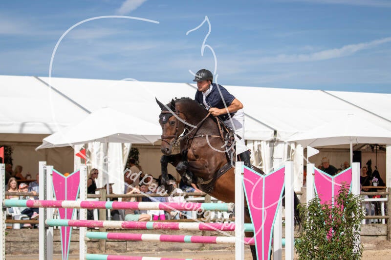 bouferterhaff-jumping-74-standard-4s3vxg.jpg