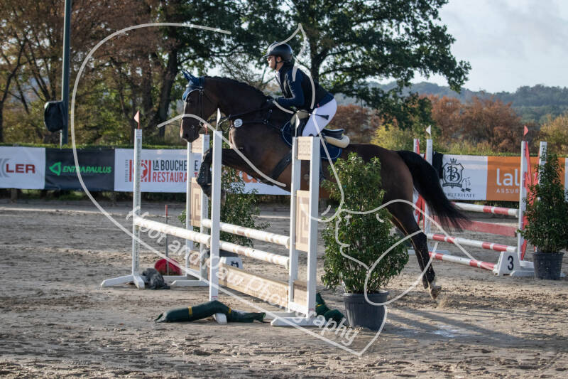 bouferterhaff-jumping-74-standard-kqwchs.jpg