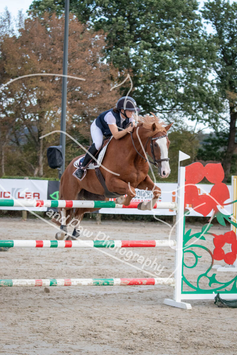 bouferterhaff-jumping-74-standard-mjbpcw.jpg