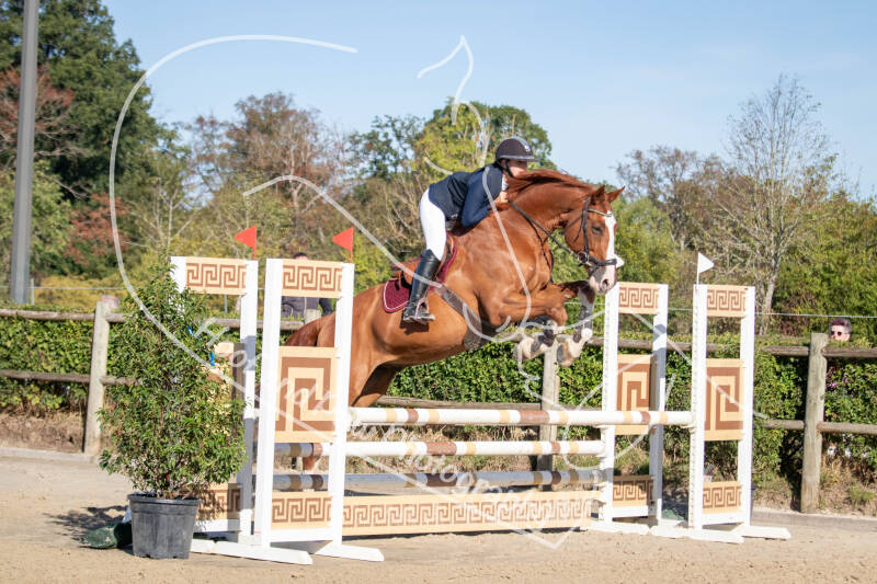 bouferterhaff-jumping-74-standard-n9fmpt.jpg