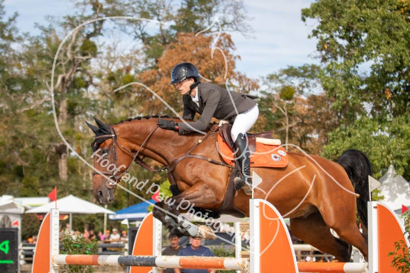 bouferterhaff-jumping-74-standard-op1pxm.jpg
