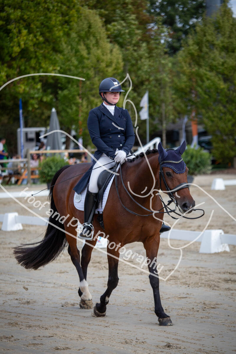 bouferterhaff-jumping-74-standard-qk7eky.jpg