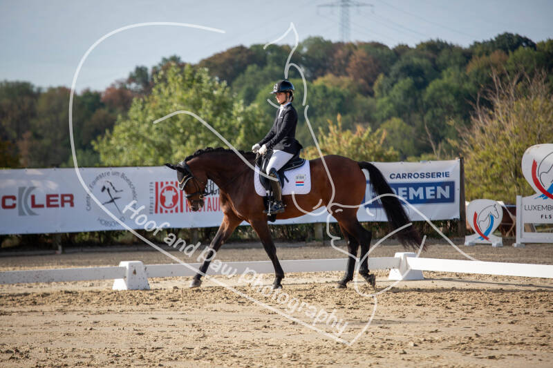 bouferterhaff-jumping-74-standard-tv2mhx.jpg
