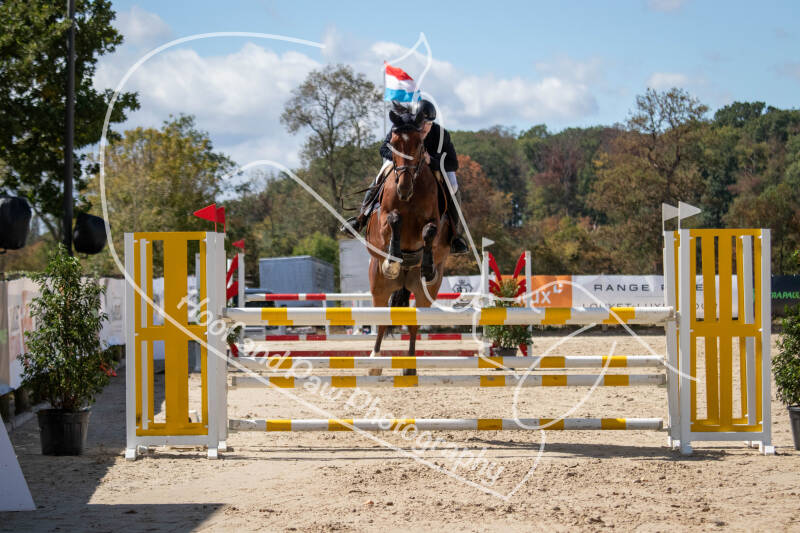 bouferterhaff-jumping-74-standard.jpg