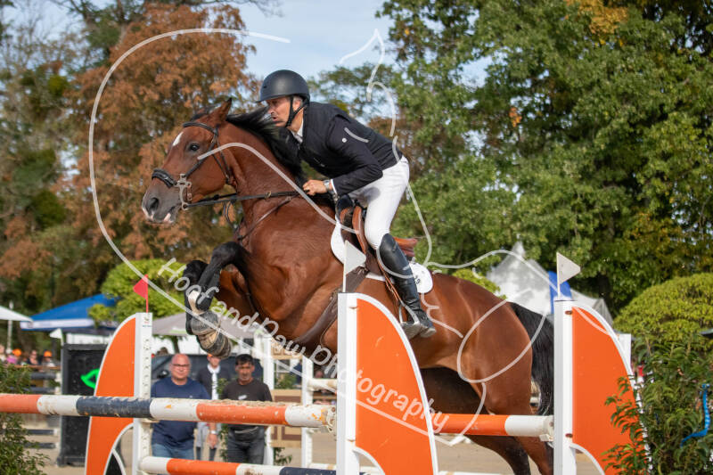 bouferterhaff-jumping-75-standard-52icvh.jpg