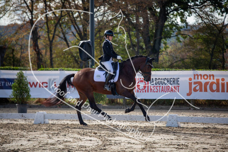 bouferterhaff-jumping-75-standard-aex9kz.jpg