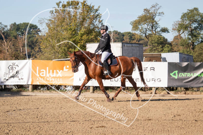 bouferterhaff-jumping-75-standard-prydcq.jpg