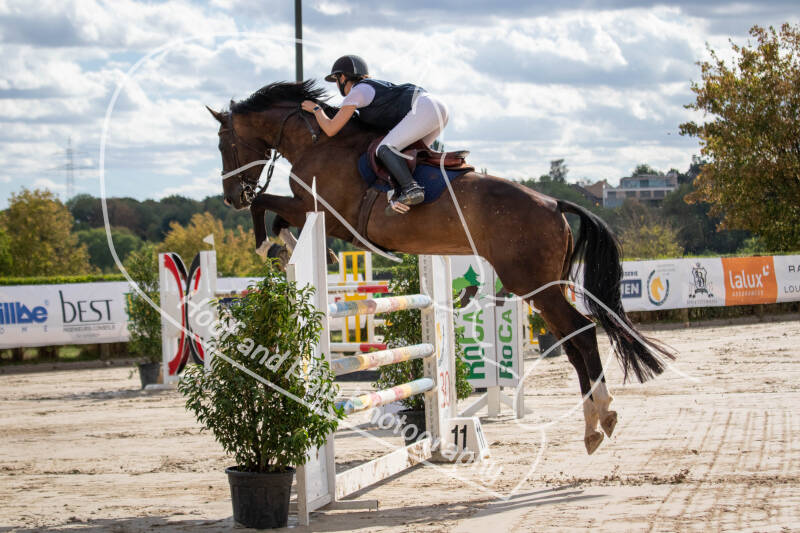 bouferterhaff-jumping-75-standard-w20nof.jpg