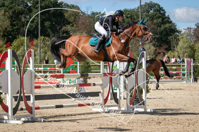 bouferterhaff-jumping-75-standard.jpg