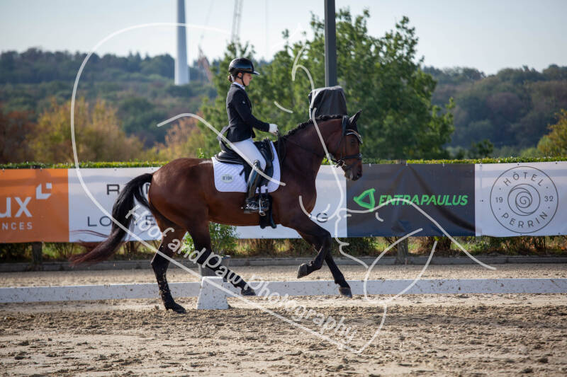bouferterhaff-jumping-76-standard-2g5q2m.jpg