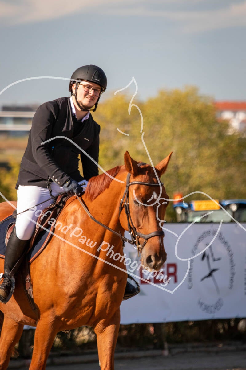 bouferterhaff-jumping-76-standard-4irbjj.jpg