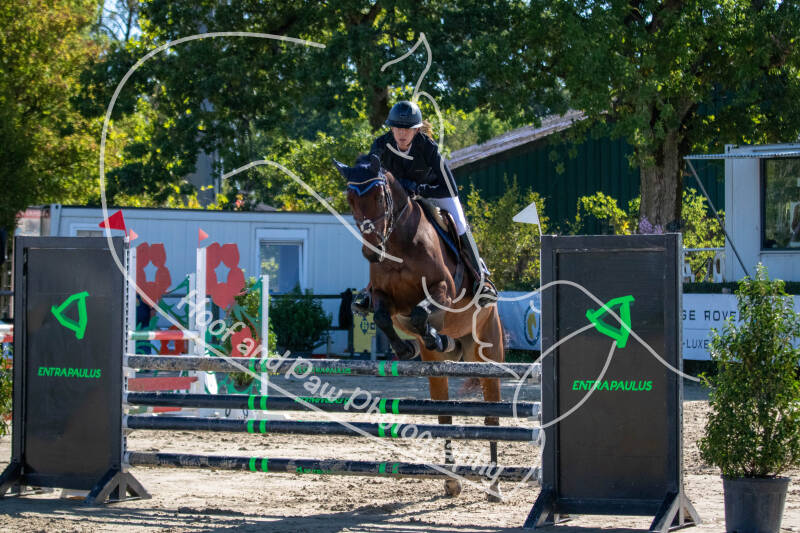 bouferterhaff-jumping-76-standard-irs1br.jpg